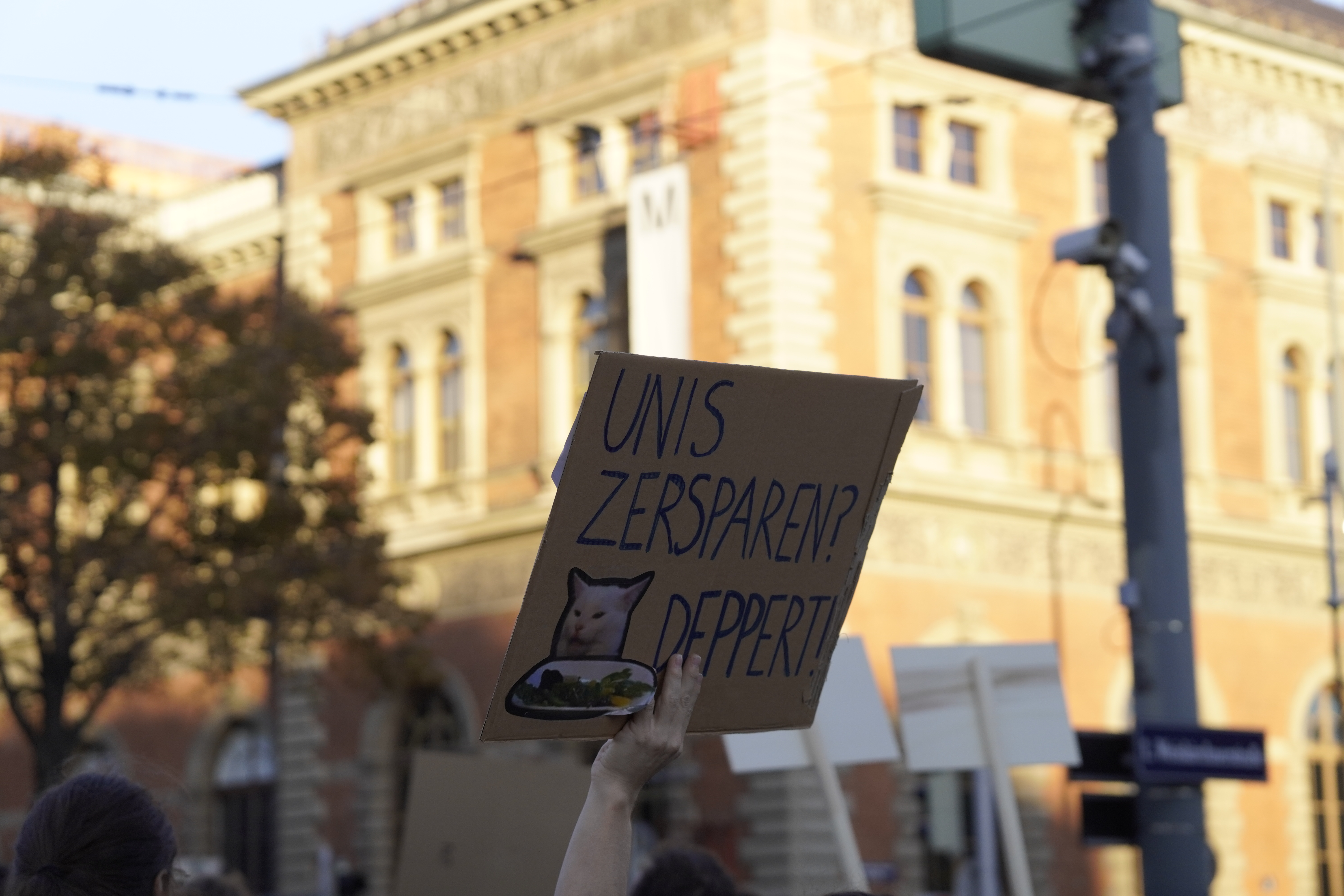 Demo Plakat mit Aufschrift Unis zersparen? Deppert!